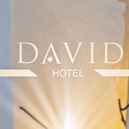 Hotel David An Der Donau Ratyzbona Zewnętrze zdjęcie